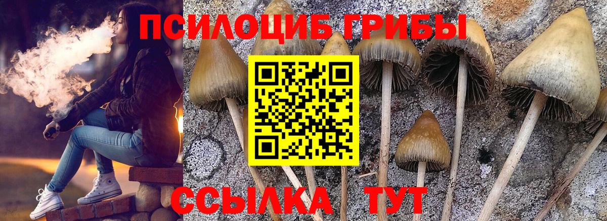 Псилоцибиновые грибы ЛСД Чистополь